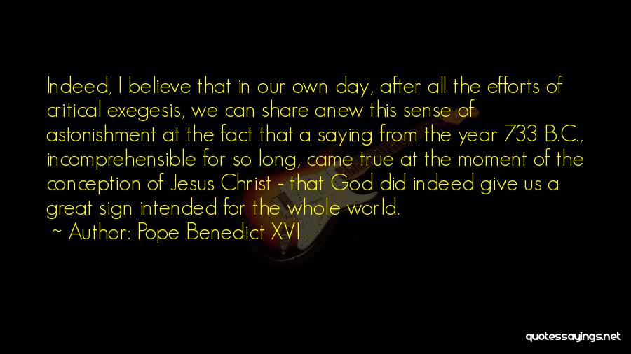Conception 2 Quotes By Pope Benedict XVI