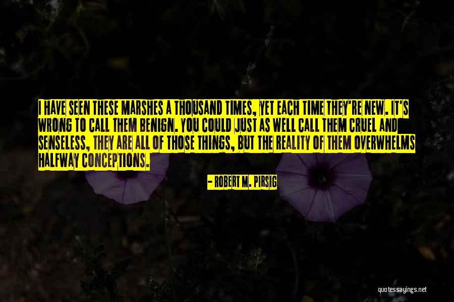 Conceptions Quotes By Robert M. Pirsig Conceptions Quotes By Robert M. Pirsig