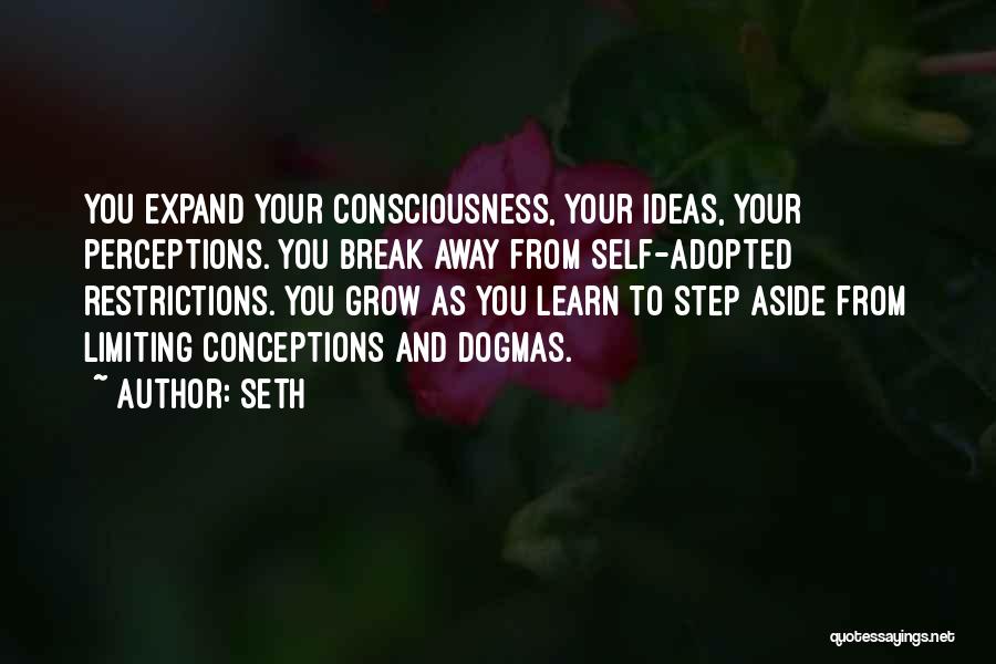 Conceptions Quotes By Seth