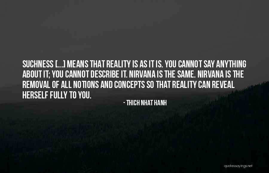 Concepts Are Not Reality Quotes By Thich Nhat Hanh Concepts Are Not Reality Quotes By Thich Nhat Hanh