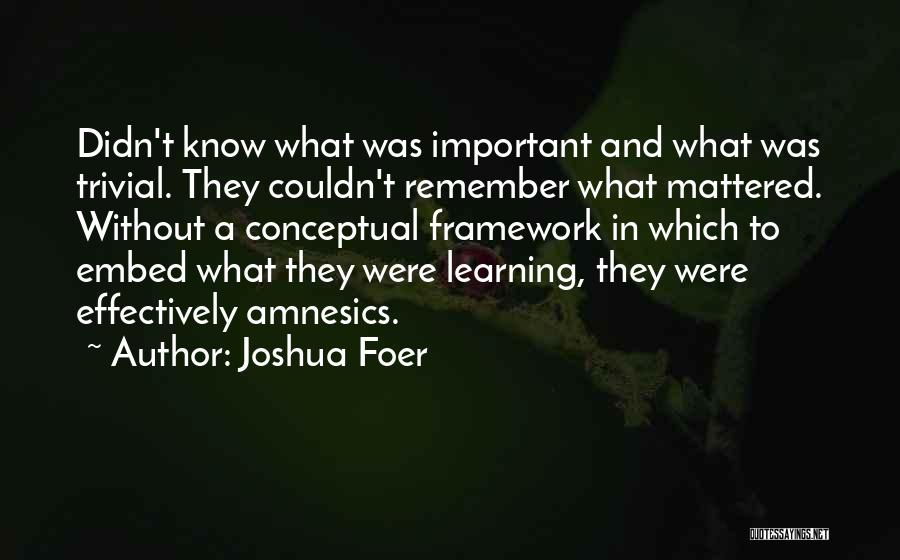 Conceptual Framework Quotes By Joshua Foer