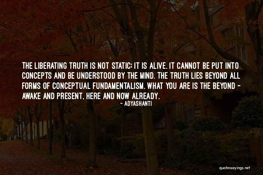 Conceptual Quotes By Adyashanti