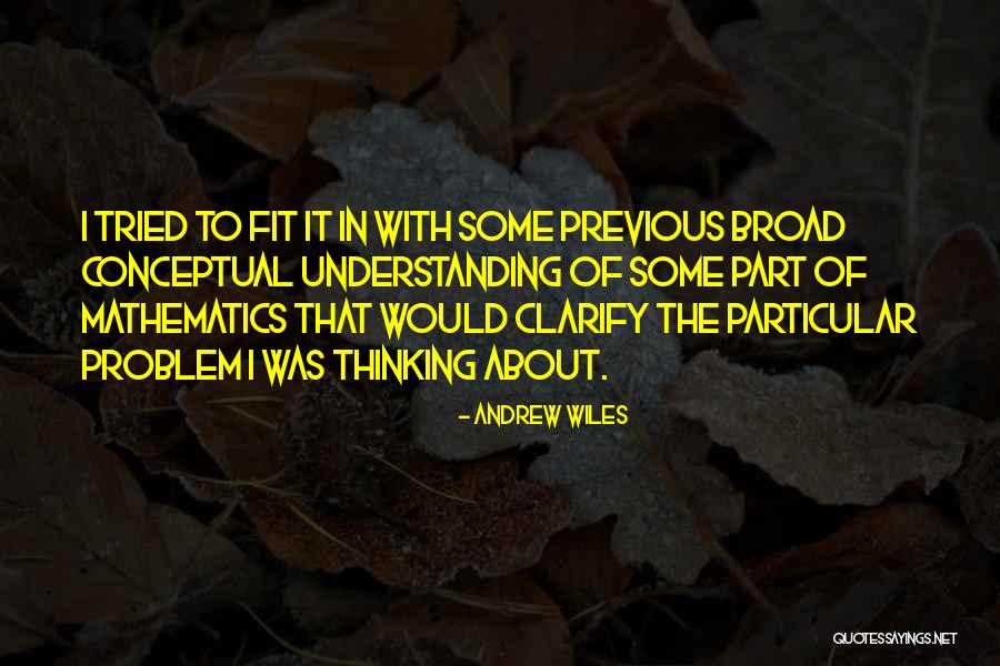 Conceptual Quotes By Andrew Wiles