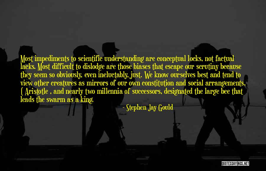 Conceptual Quotes By Stephen Jay Gould