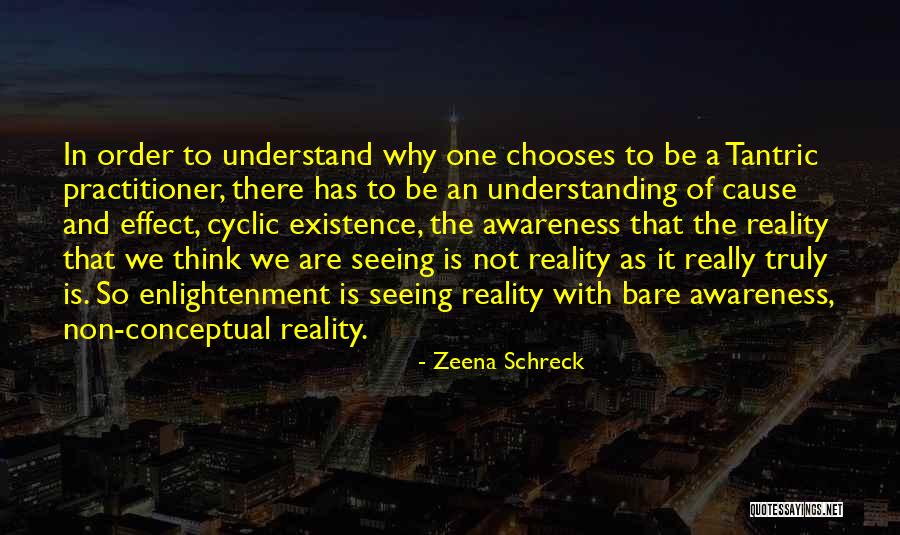 Conceptual Quotes By Zeena Schreck