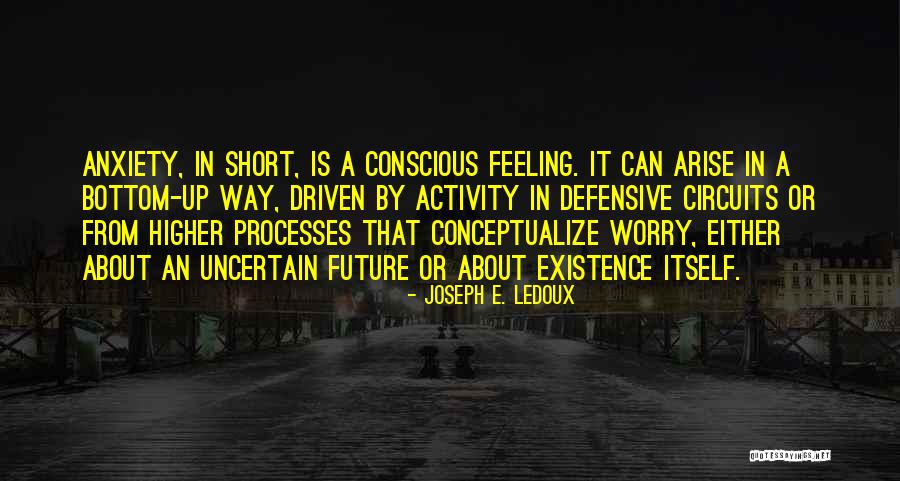 Conceptualize Quotes By Joseph E. Ledoux Conceptualize Quotes By Joseph E. Ledoux