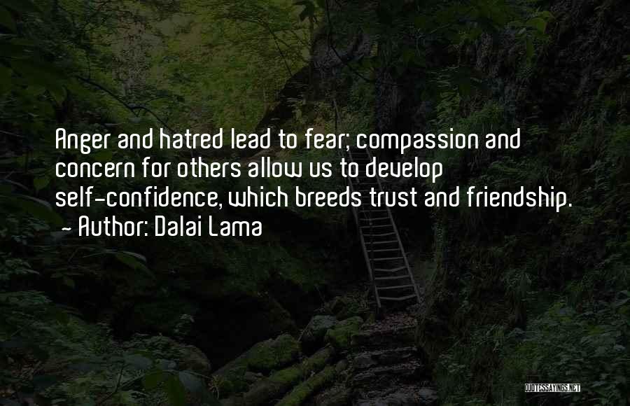 Concern For Others Quotes By Dalai Lama