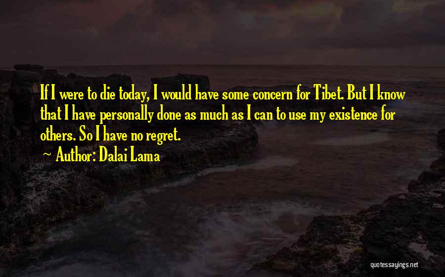 Concern For Others Quotes By Dalai Lama