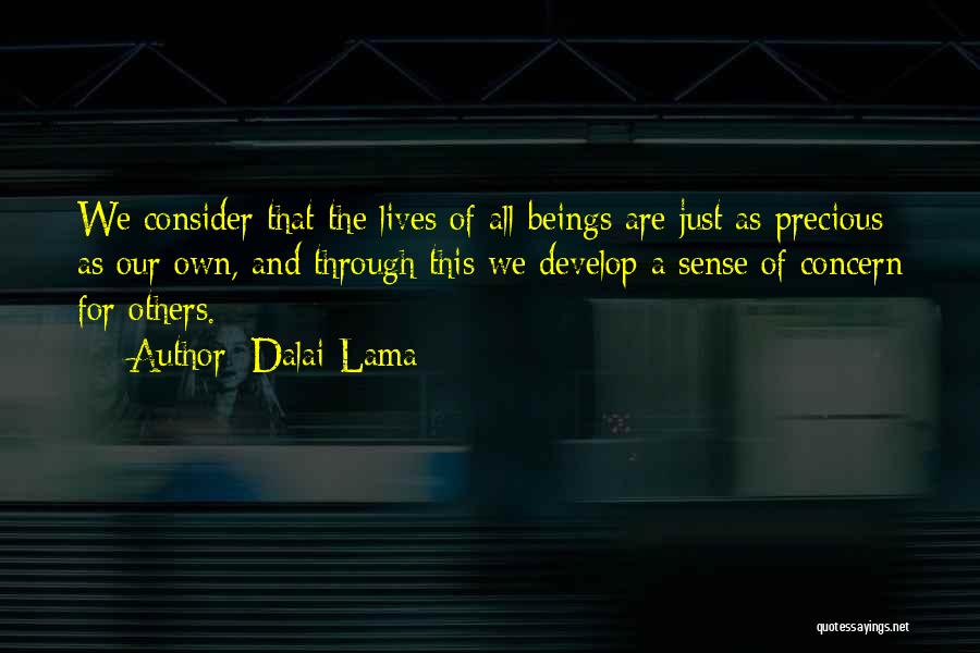 Concern For Others Quotes By Dalai Lama