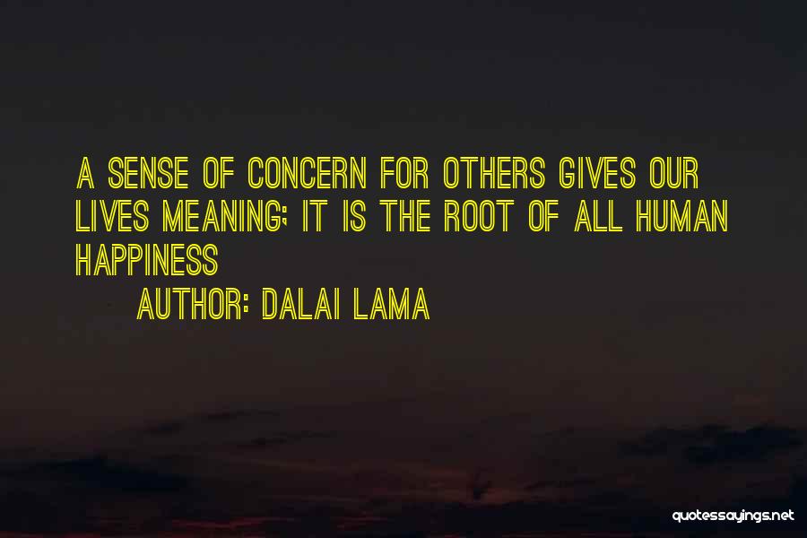 Concern For Others Quotes By Dalai Lama