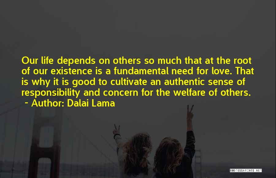 Concern For Others Quotes By Dalai Lama