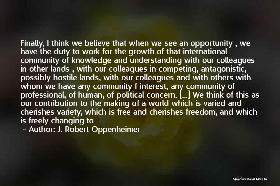 Concern For Others Quotes By J. Robert Oppenheimer