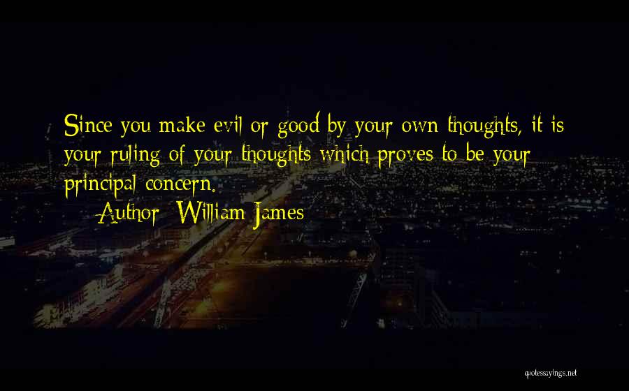 Concern Quotes By William James