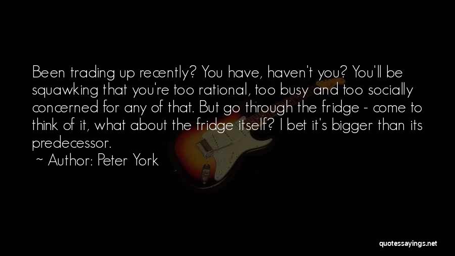 Concerned About You Quotes By Peter York
