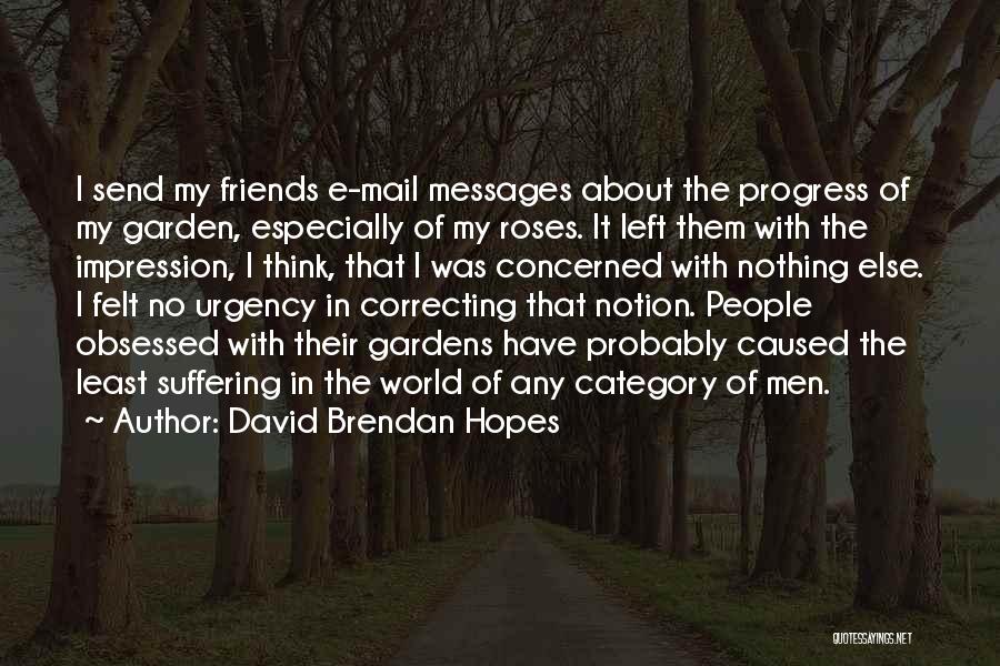 Concerned Friends Quotes By David Brendan Hopes