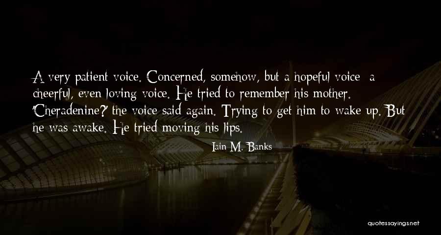 Concerned Mother Quotes By Iain M. Banks Concerned Mother Quotes By Iain M. Banks