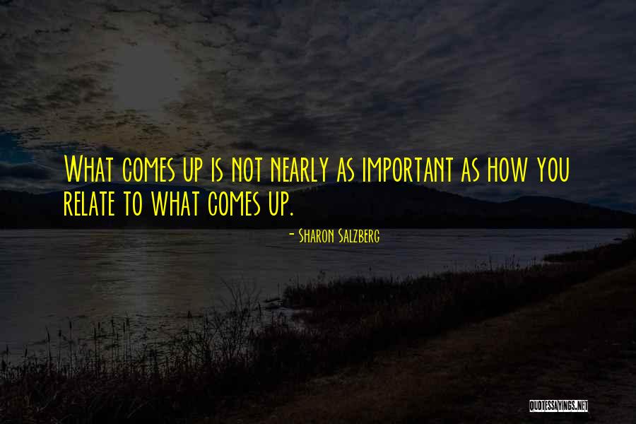 Concertinas Do Minho Quotes By Sharon Salzberg Concertinas Do Minho Quotes By Sharon Salzberg