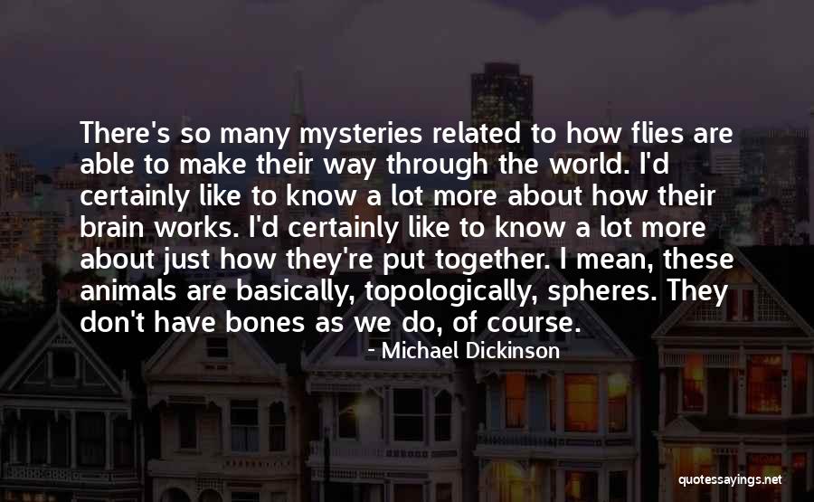 Concetration Quotes By Michael Dickinson Concetration Quotes By Michael Dickinson