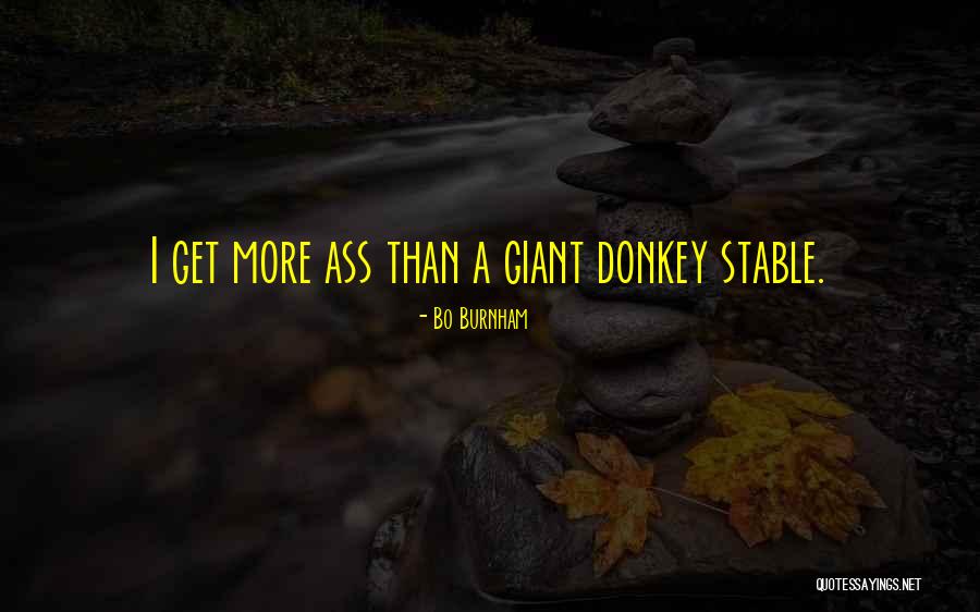 Concidio Quotes By Bo Burnham Concidio Quotes By Bo Burnham