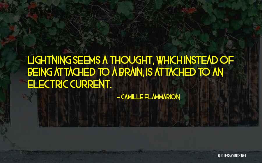 Concision Bias Quotes By Camille Flammarion Concision Bias Quotes By Camille Flammarion