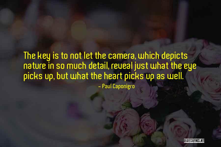 Concision Definicion Quotes By Paul Caponigro Concision Definicion Quotes By Paul Caponigro