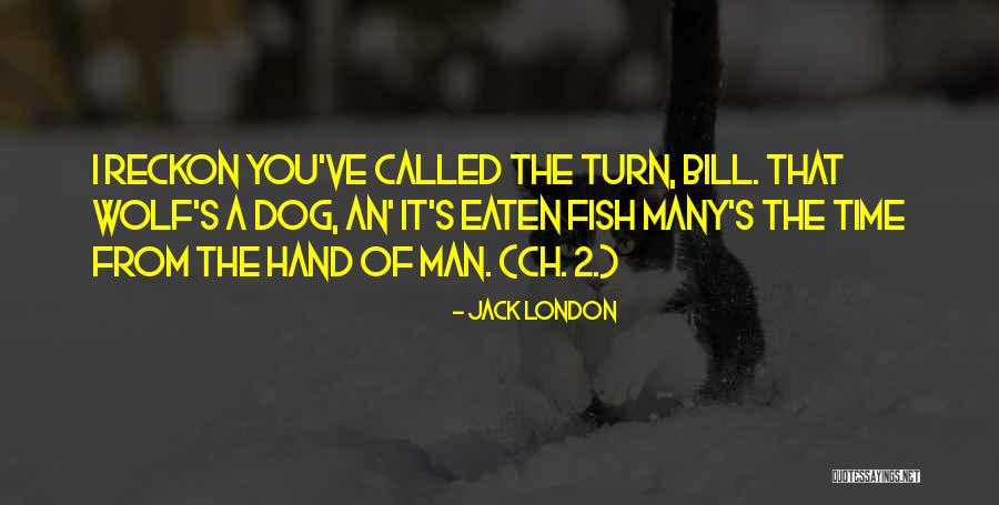 Conclusively Synonym Quotes By Jack London Conclusively Synonym Quotes By Jack London