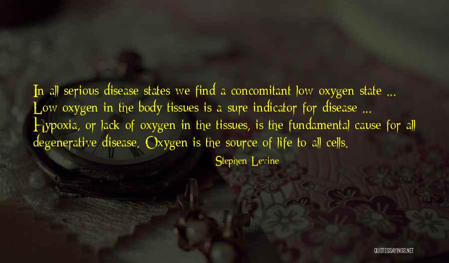 Concomitant In Quotes By Stephen Levine Concomitant In Quotes By Stephen Levine