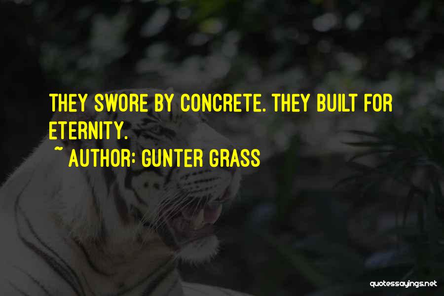 Concrete Architecture Quotes By Gunter Grass