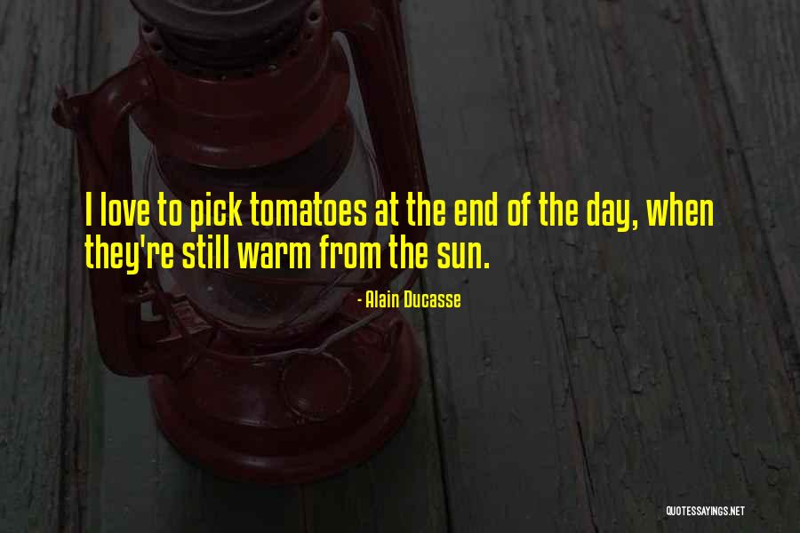 Concreteness In Counseling Quotes By Alain Ducasse Concreteness In Counseling Quotes By Alain Ducasse