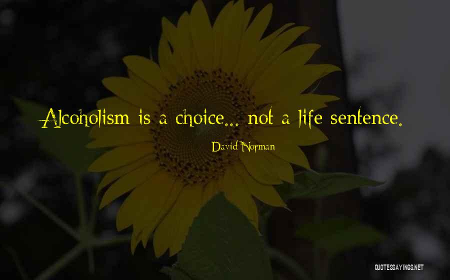 Concretization Psychology Quotes By David Norman Concretization Psychology Quotes By David Norman