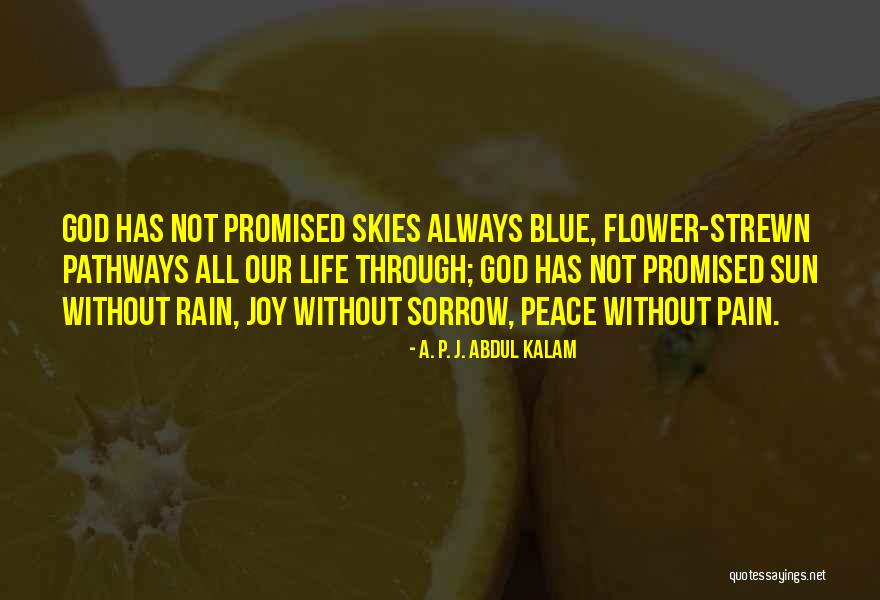 Concretizing Assignment Quotes By A. P. J. Abdul Kalam Concretizing Assignment Quotes By A. P. J. Abdul Kalam