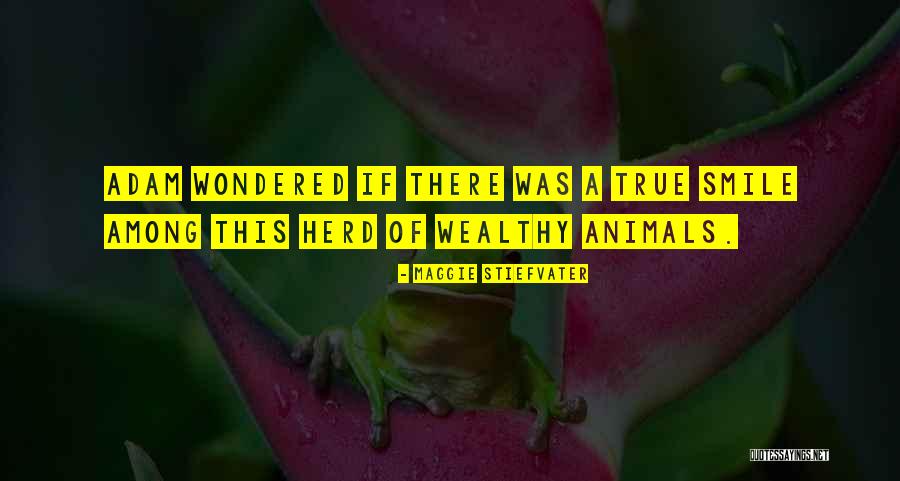Concreto Premezclado Quotes By Maggie Stiefvater Concreto Premezclado Quotes By Maggie Stiefvater