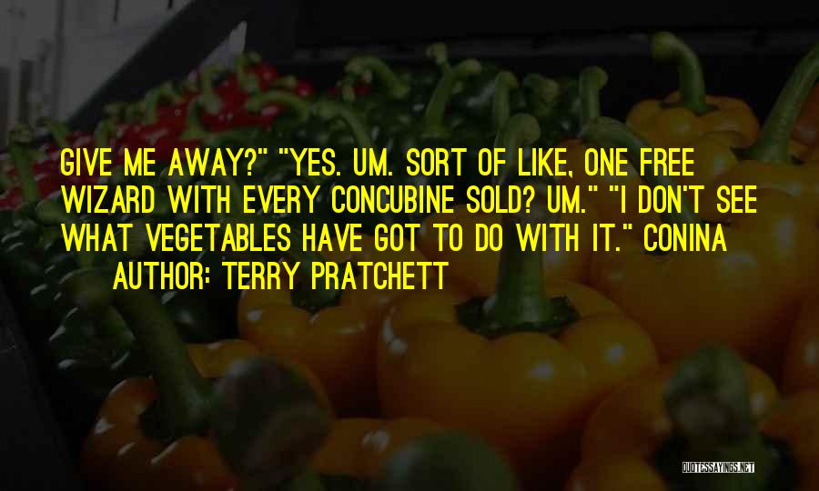 Concubine Quotes By Terry Pratchett