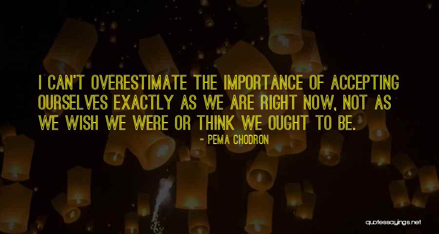 Concubines Love Quotes By Pema Chodron Concubines Love Quotes By Pema Chodron