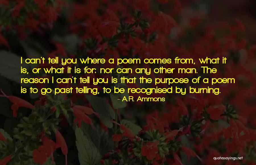 Condell Memorial Hospital Quotes By A.R. Ammons Condell Memorial Hospital Quotes By A.R. Ammons