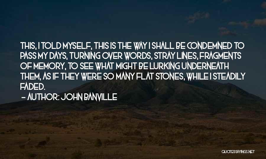 Condemned 2 Quotes By John Banville