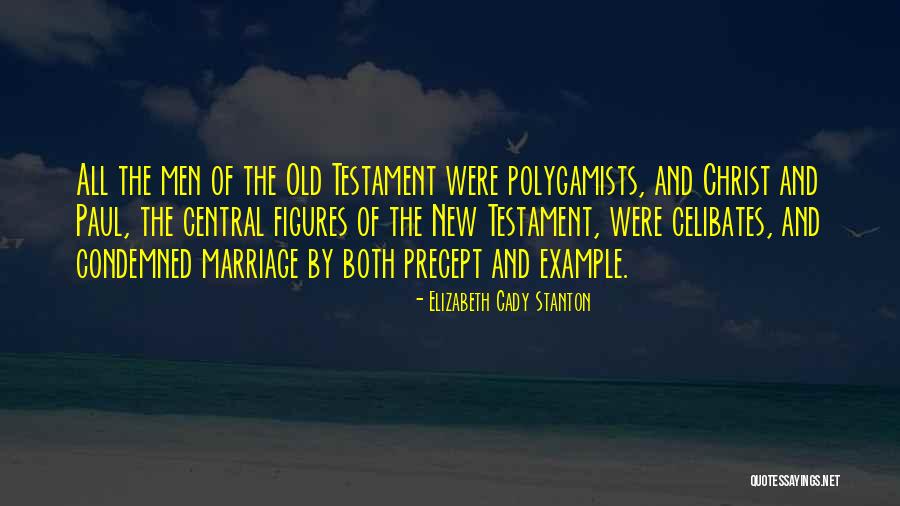 Condemned Quotes By Elizabeth Cady Stanton Condemned Quotes By Elizabeth Cady Stanton