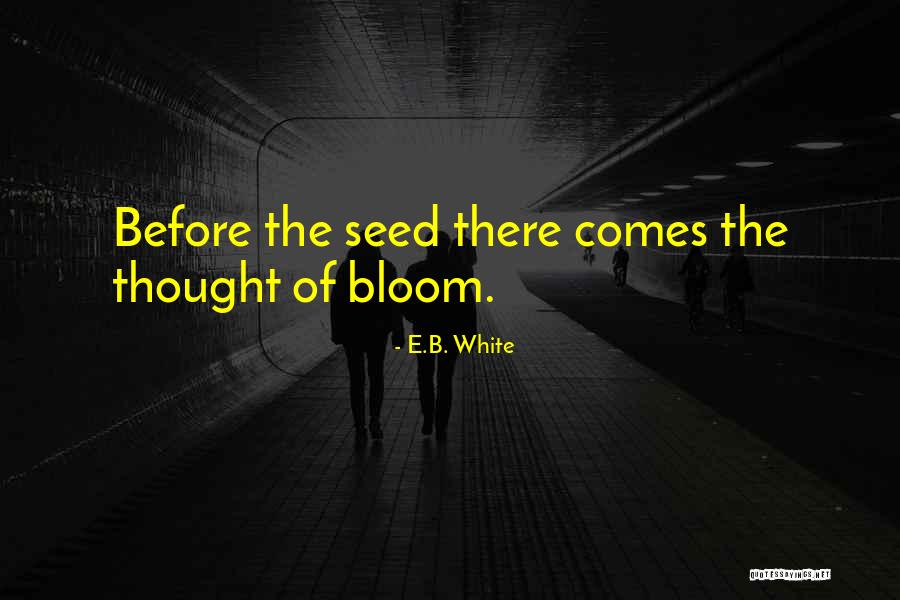 Condescending Meme When You Are Smarter Quotes By E.B. White