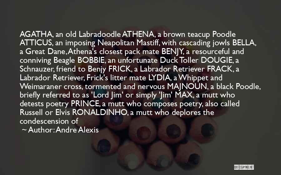 Condescension Quotes By Andre Alexis