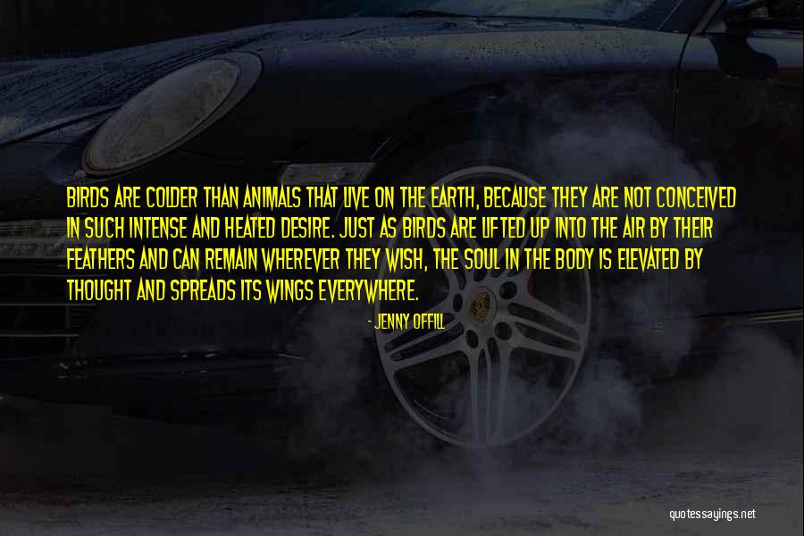 Condition Ism Quotes By Jenny Offill Condition Ism Quotes By Jenny Offill