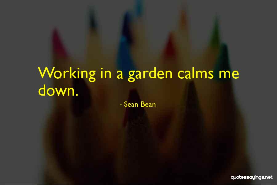 Conditionality Quotes By Sean Bean Conditionality Quotes By Sean Bean