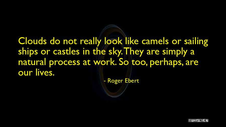 Conditionally Convergent Quotes By Roger Ebert Conditionally Convergent Quotes By Roger Ebert