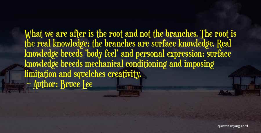 Conditioning Quotes By Bruce Lee