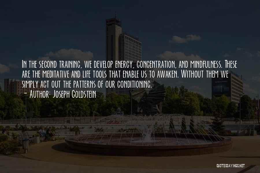 Conditioning Quotes By Joseph Goldstein