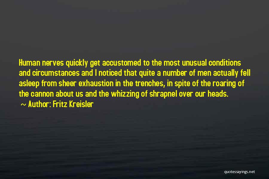 Conditions In The Trenches Quotes By Fritz Kreisler