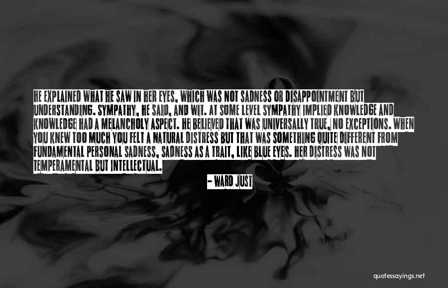 Condoning Laziness Quotes By Ward Just Condoning Laziness Quotes By Ward Just
