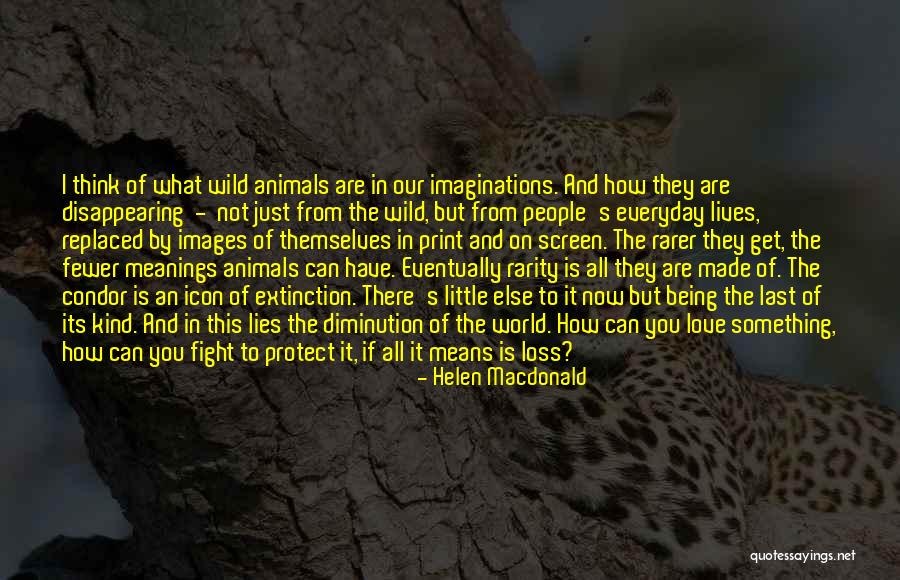 Condor Best Quotes By Helen Macdonald Condor Best Quotes By Helen Macdonald