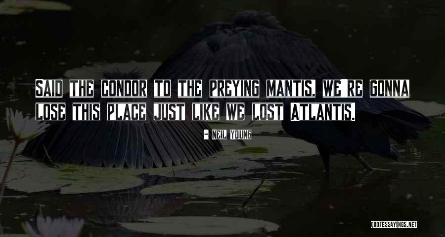 Condor Best Quotes By Neil Young Condor Best Quotes By Neil Young