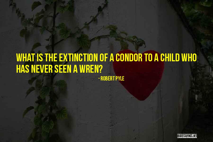 Condor Best Quotes By Robert Pyle Condor Best Quotes By Robert Pyle