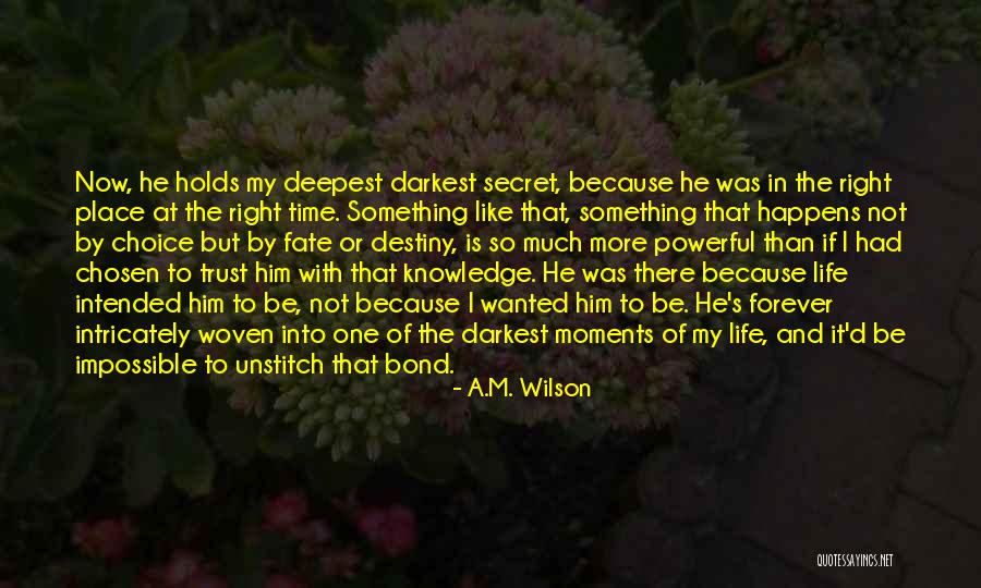 Condottieri Are Quotes By A.M. Wilson Condottieri Are Quotes By A.M. Wilson